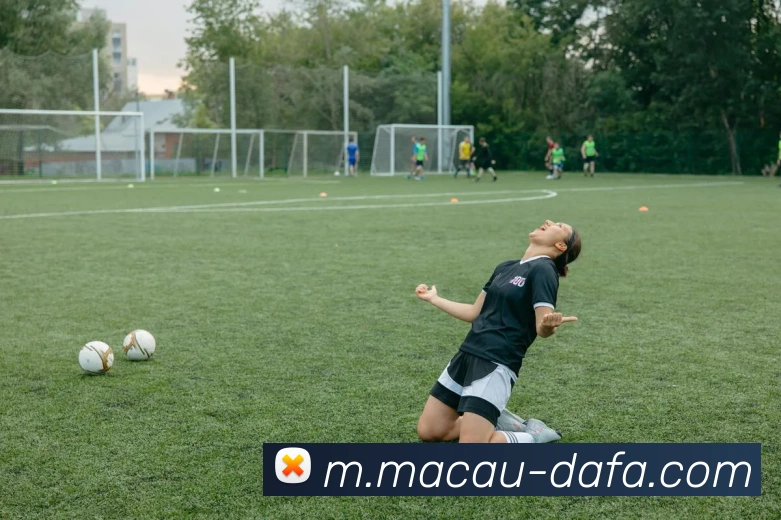 大发彩票发展历程